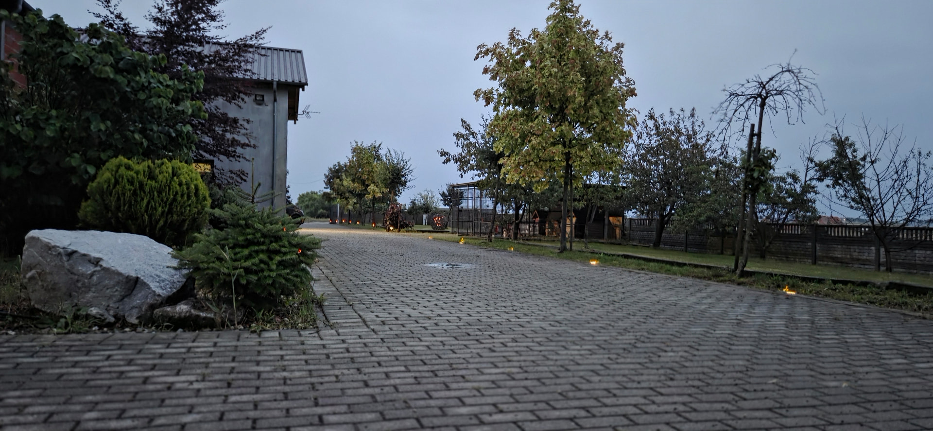 Brukowana aleja wjazdowa do Korzeni o zmierzchu — drzewa, latarenki i zabudowania Stajni Stęgosz